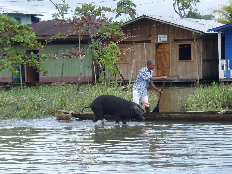 Colombia 2012 (110).JPG